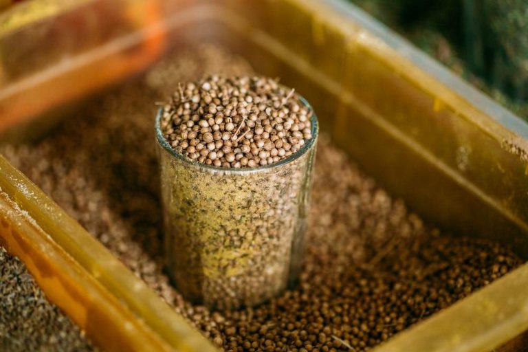 Prevent problems with expert Seed Fumigation service from The Fumigation Company image shows seeds in jar